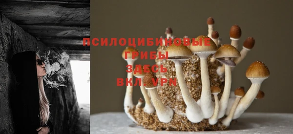 мдма Вяземский
