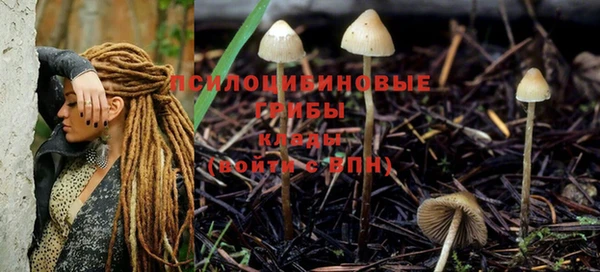 мдма Вяземский