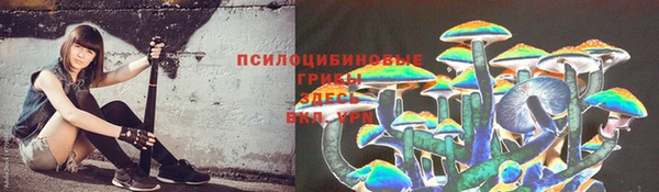 мдма Вяземский