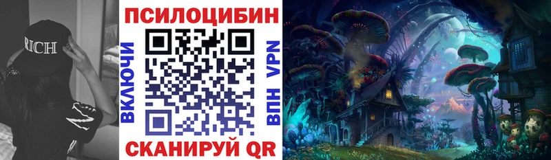 Псилоцибиновые грибы Psilocybine cubensis  купить наркоту  Отрадный 